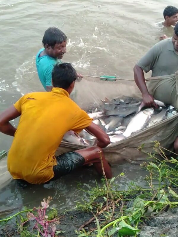 Home 3 বেড় জাল