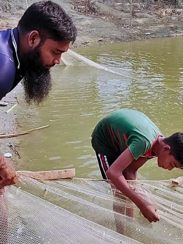 মই জাল