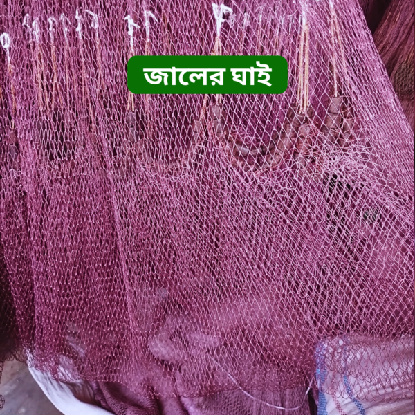 জালের ছিদ্র ০.৭৫ ইঞ্চি (3) ছোট পাশের হাতে বোনা ঝাকি জাল । Fully Hand-Made Professional Cast Net
