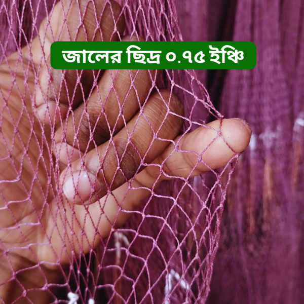 জালের ছিদ্র ০.৭৫ ইঞ্চি small fish fishing net