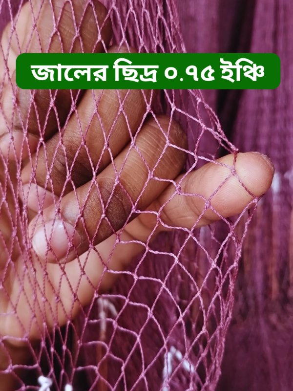 small fish fishing net