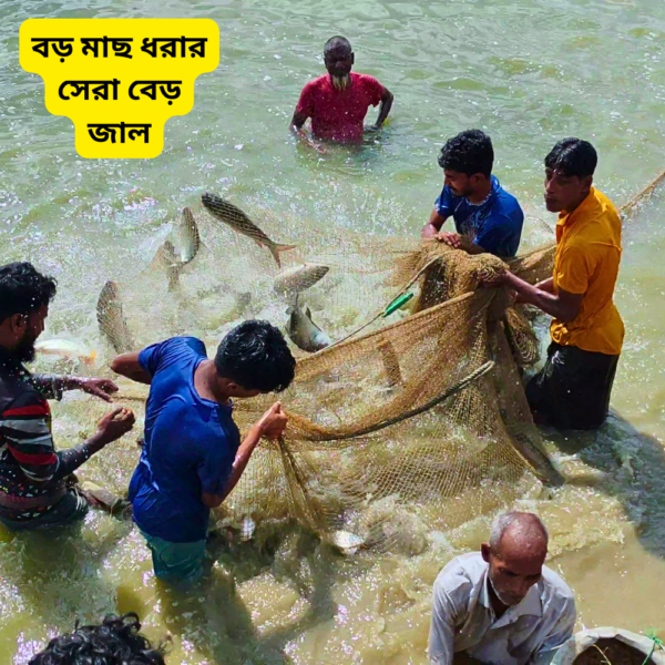 কট সুতার বেড় জাল