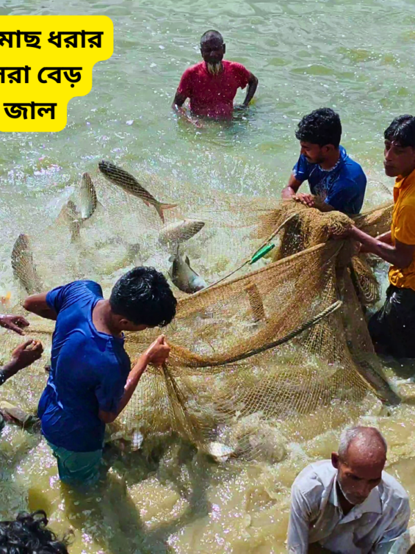 কট সুতার বেড় জাল (1) কট সুতার বেড় জাল