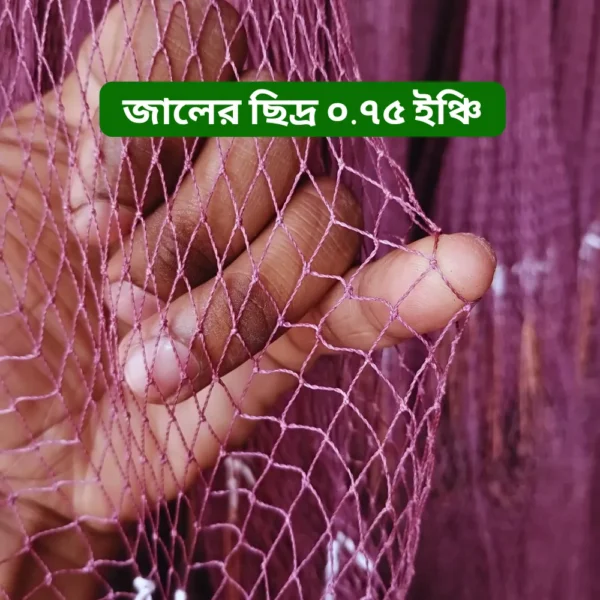 জালের ছিদ্র ০.৭৫ ইঞ্চি ছোট পাশের(০.৭৫ইঞ্ছি) হাতে বোনা ঝাকি জাল । Fully Hand-Made Professional Cast Net