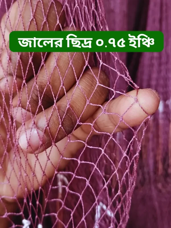 জালের ছিদ্র ০.৭৫ ইঞ্চি ছোট পাশের(০.৭৫ইঞ্ছি) হাতে বোনা ঝাকি জাল । Fully Hand-Made Professional Cast Net