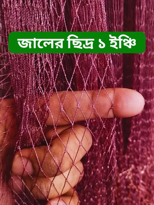 সম্পূর্ণ হাতে বোনা মাঝারি পাশের ৭.৫ হাত ঝাকি জাল । Fully Hand-Made Professional Cast Net