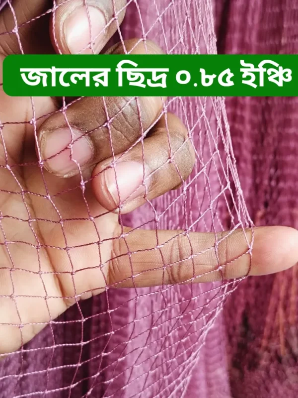 ০.৮৫ জালের পাশ