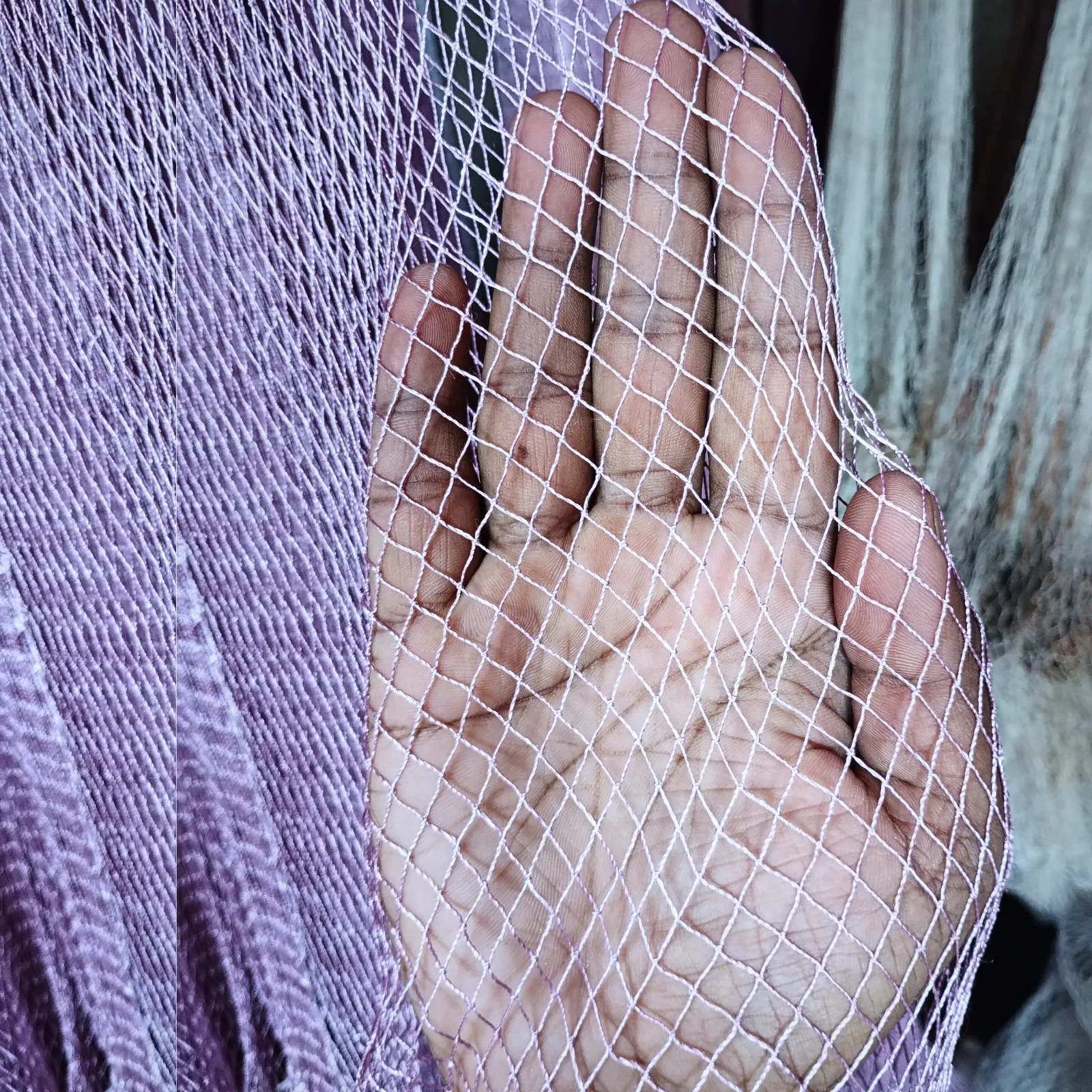 স্পেশাল সুতার প্রফেশোনাল জাল । Zahid Farm Special Fishing Net (৯ হাত)