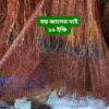 কট-সুতার-ঝাকি-জাল.webp বড় মাছ ধরার হাতে বোনা ঝাকি জাল