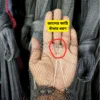 ছোট মাছ ধরার উন্নতমানের মেশিনের জাল