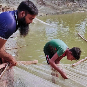 মই জাল ( বিষ করা পুকুরে মাছ ধরার জাল)