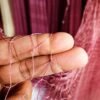 নদীর স্রোতে মাছ ধরার পাতলা জাল